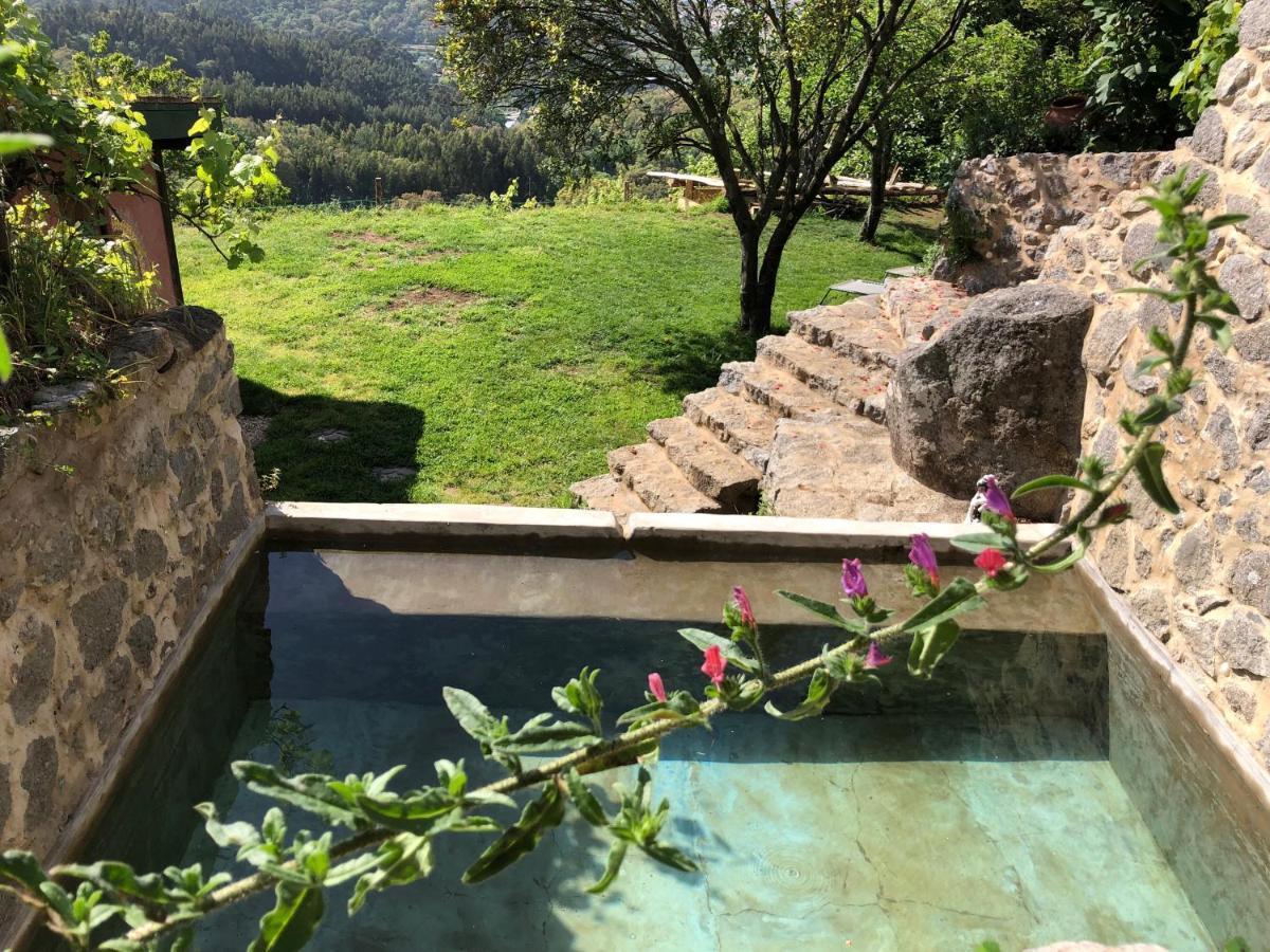 Hostal Wild Oasis - Algarve Esgravatadouro Exterior foto