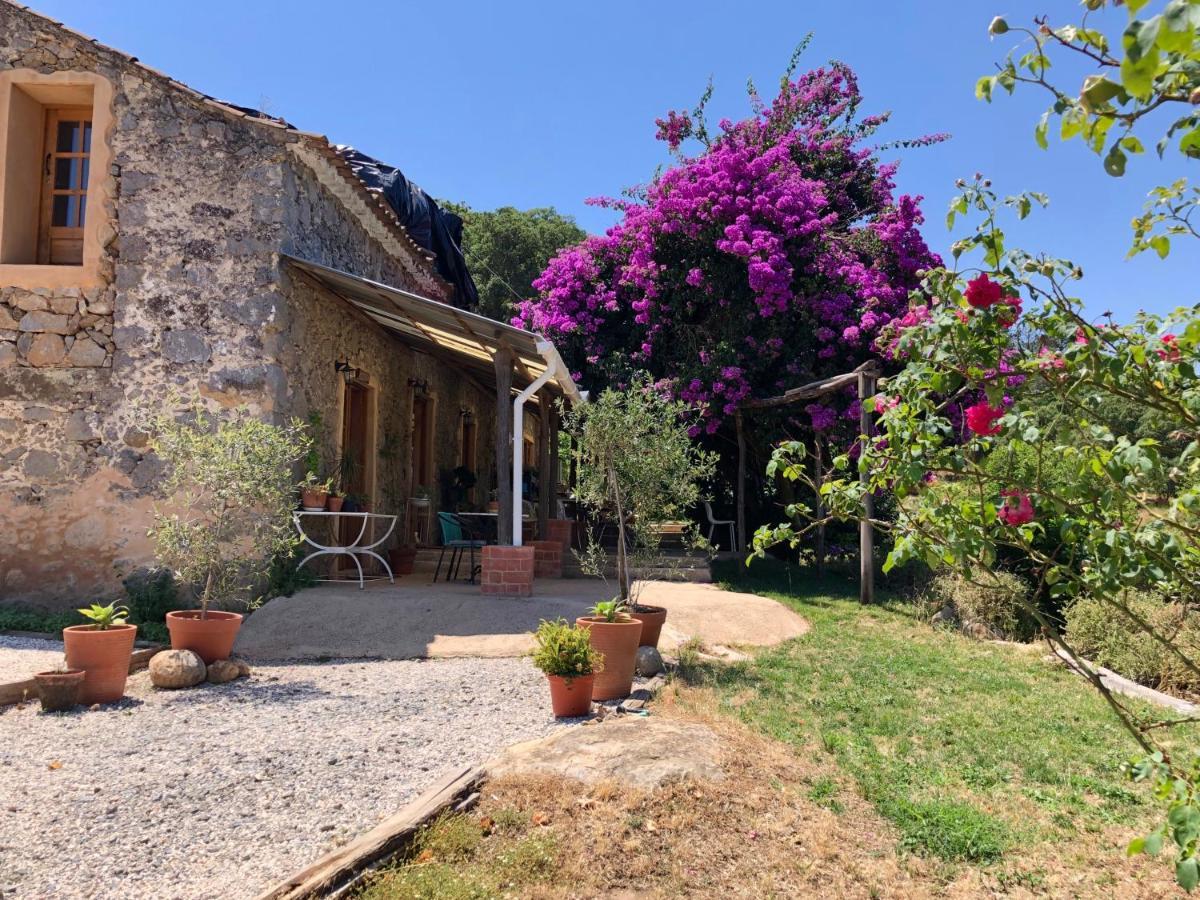 Hostal Wild Oasis - Algarve Esgravatadouro Exterior foto