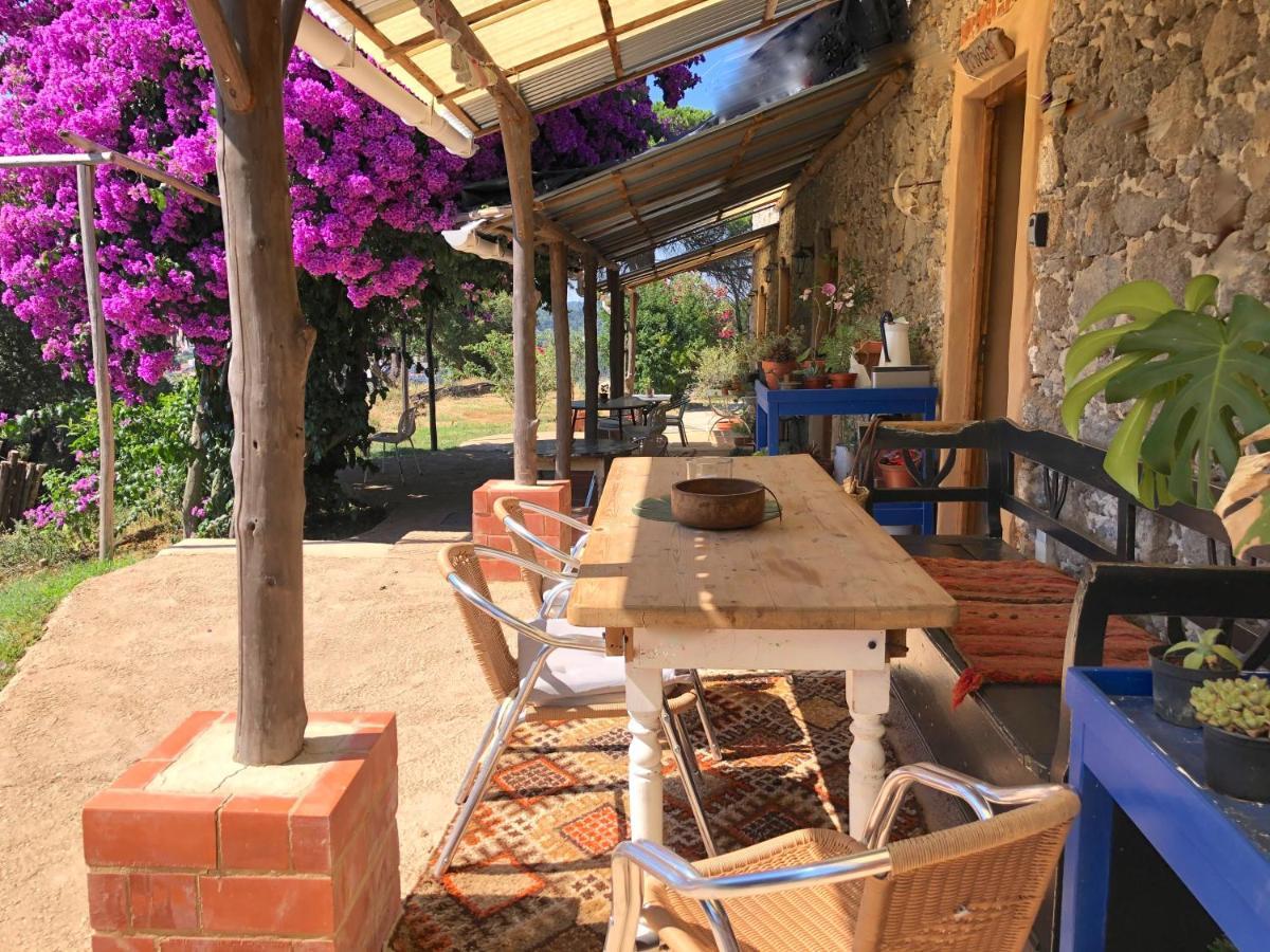 Hostal Wild Oasis - Algarve Esgravatadouro Exterior foto