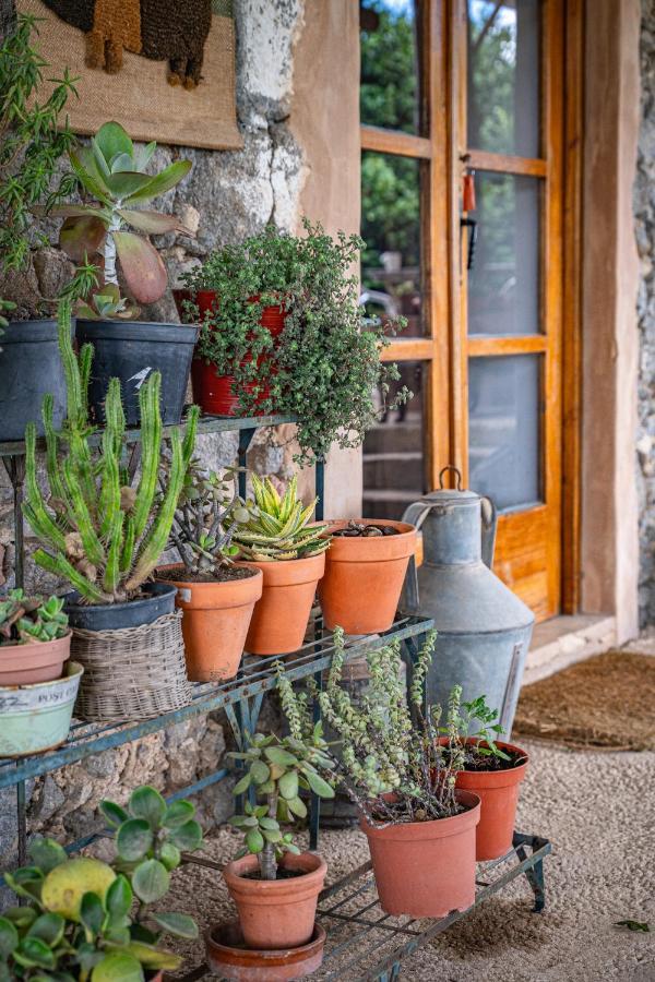 Hostal Wild Oasis - Algarve Esgravatadouro Exterior foto