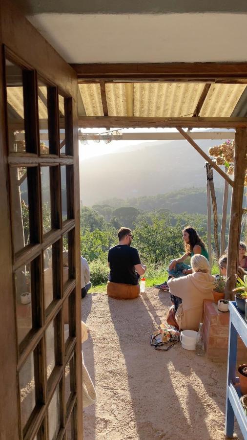 Hostal Wild Oasis - Algarve Esgravatadouro Exterior foto